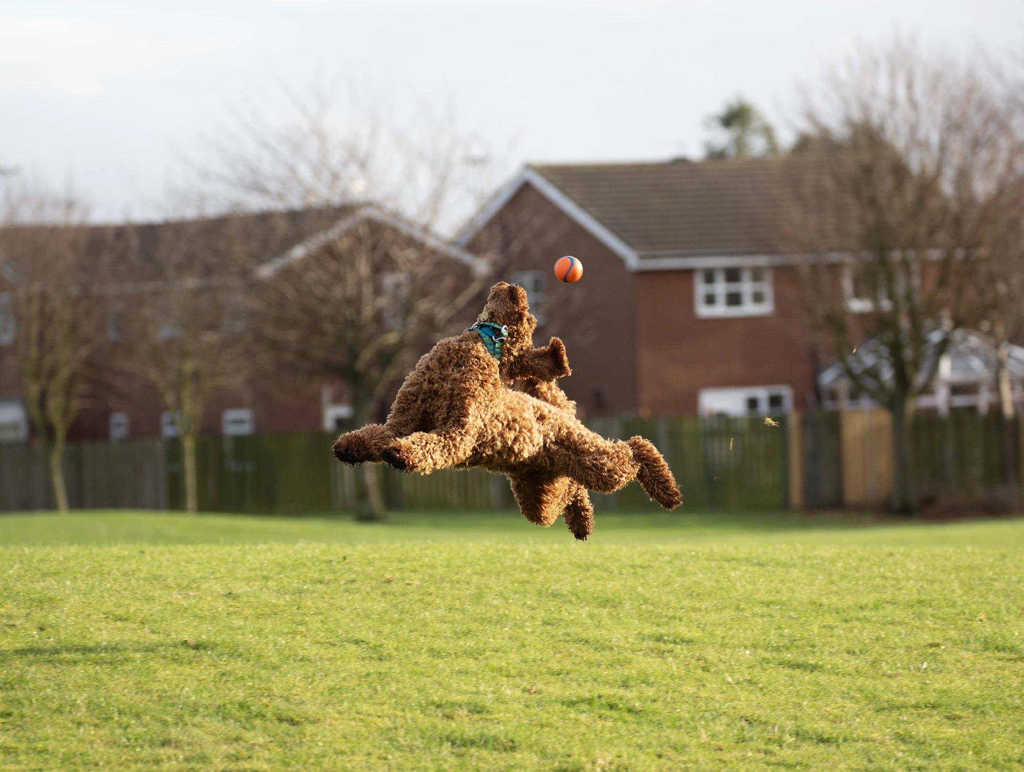 "Keep Your Eye On The Ball" (UK)