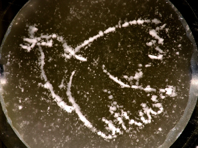 The researchers used their sonic hologram system to recreate Picasso's dove of peace