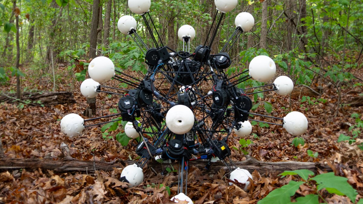 headline: 20-eyed, 20-legged robot moves in any direction wi