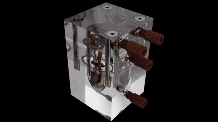 The team built a bioreactor to house the model, which let them study it for six months