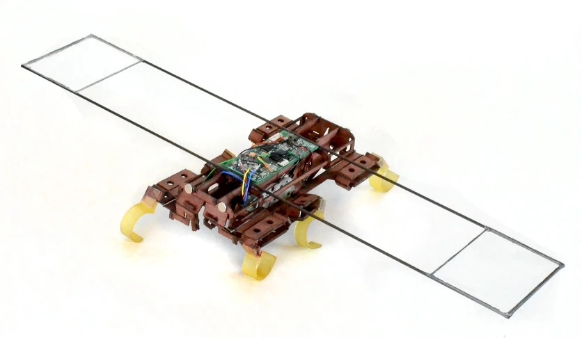 VelociRoACH can achieve a running speed up to 2.7 meters per second or 26 body lengths in one second (Photo: UC Berkeley Biomimetic Millisystems Lab)