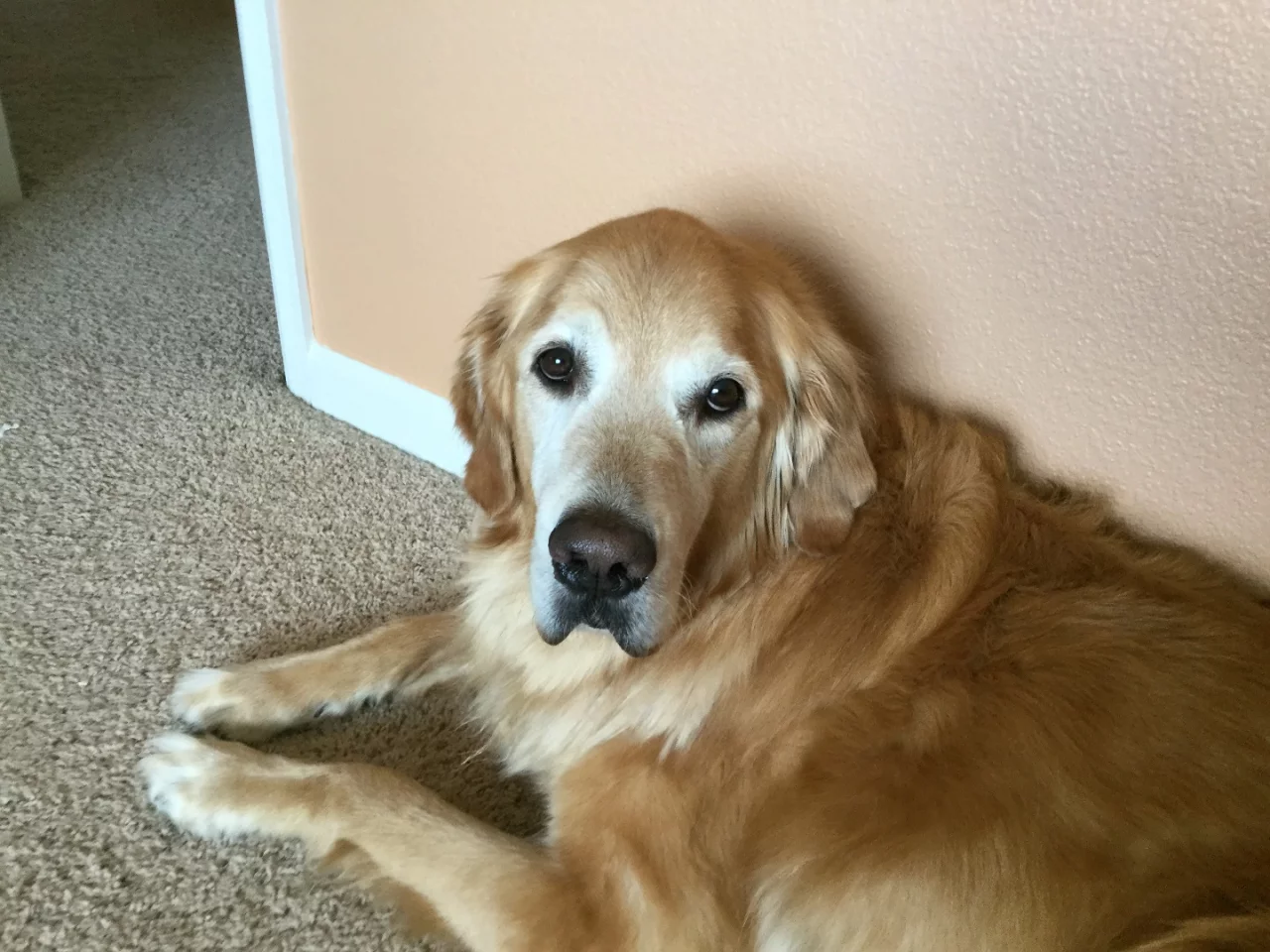 Sample shot, iPod touch (6th-generation) rear camera