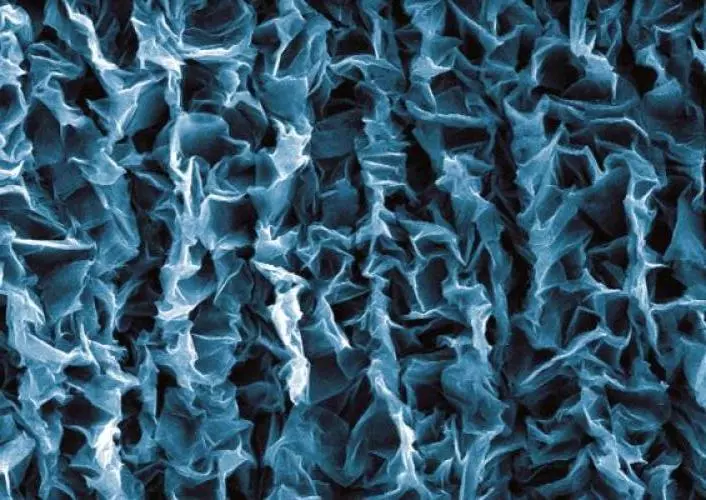 Crumpled graphene layered on a flexible polymer (Photo: Duke University)