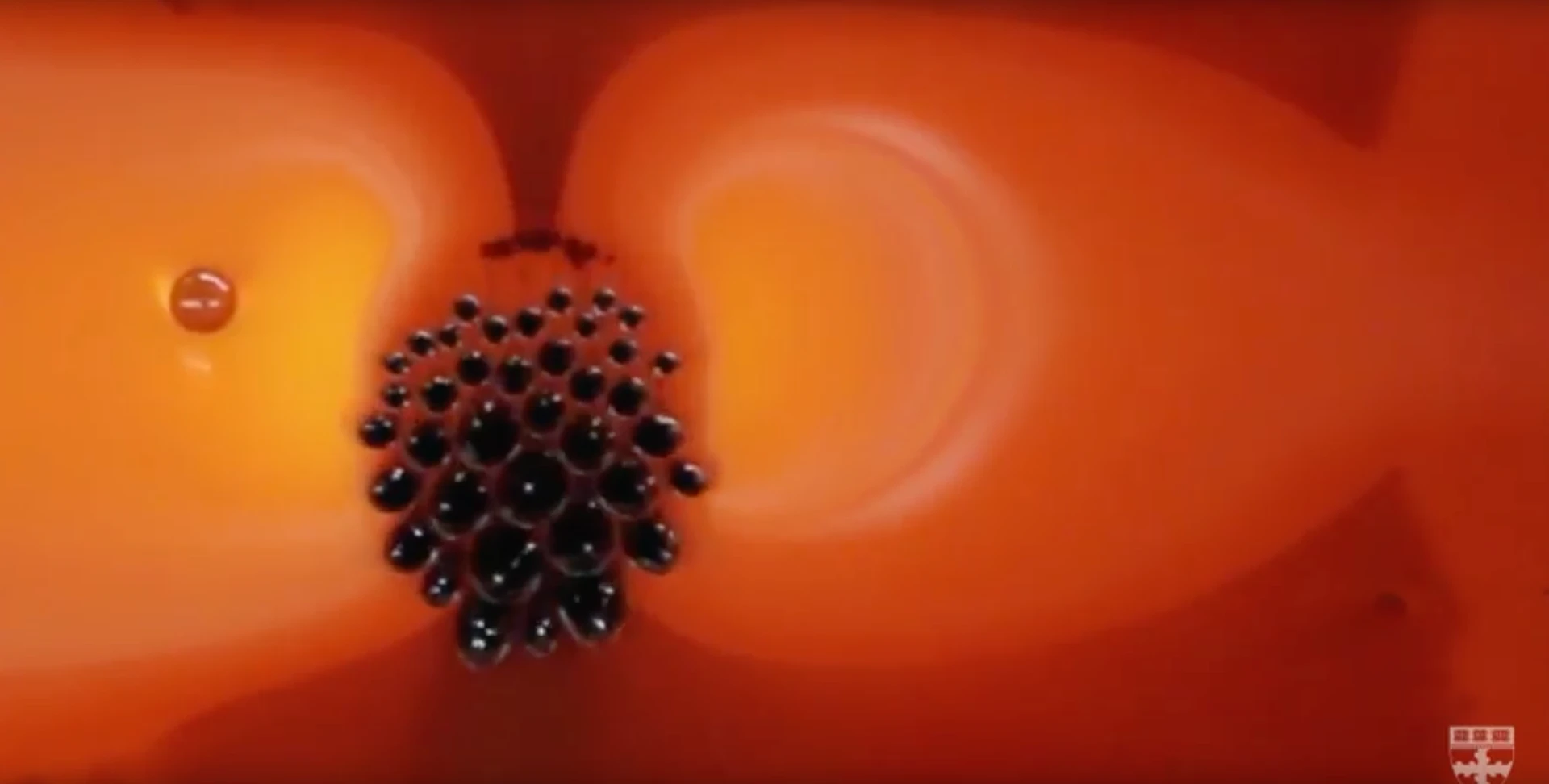 A new composite surface dubbed FLIPS can change its shape, stickiness and slipperiness through the application of a magnetic field