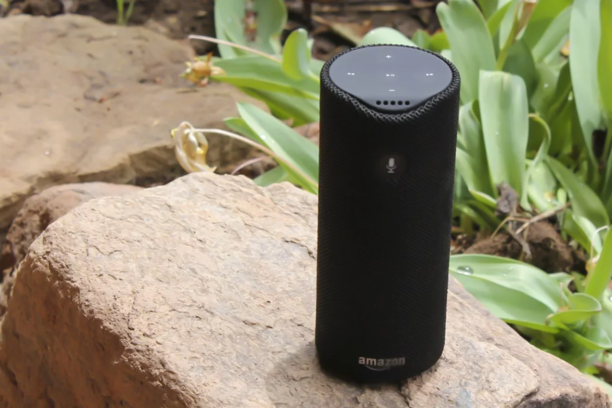 Tap can go anywhere as a Bluetooth speaker but needs to be online for Alexa to work