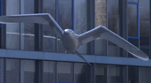 Festo's SmartBird robotic seagull