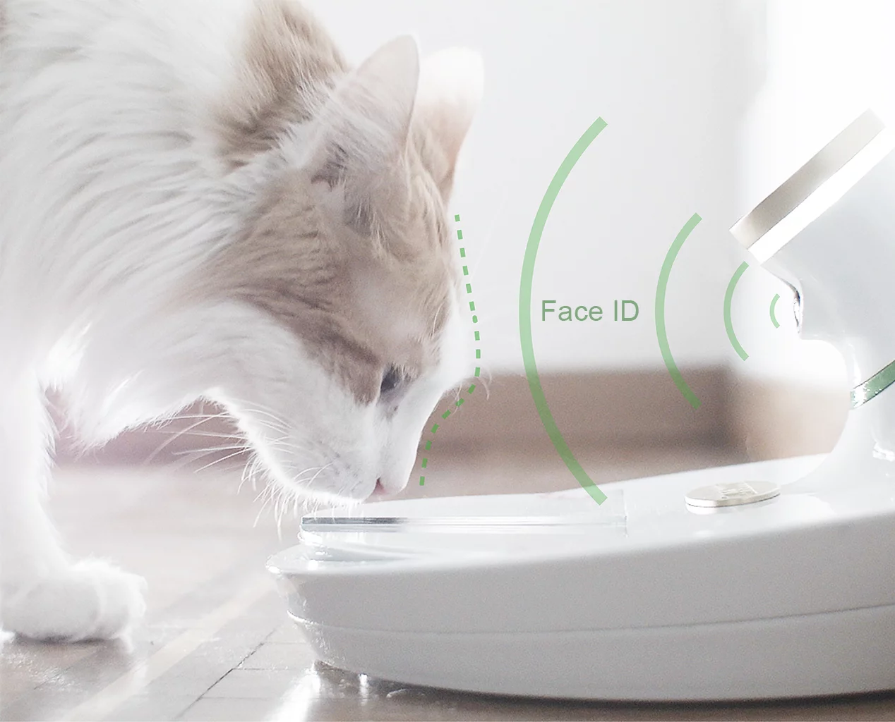 It is claimed that Mookkie also helps food remain fresh for longer