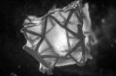 A novel 3D-printed heart patch seals and regenerates