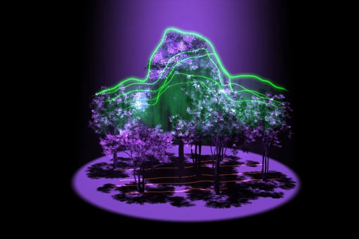 An artist's impression of how the Global Ecosystem Dynamics Investigation lidar will reveal the 3D architecture of forests in a bid to further our understanding of the carbon cycle (Image: NASA)