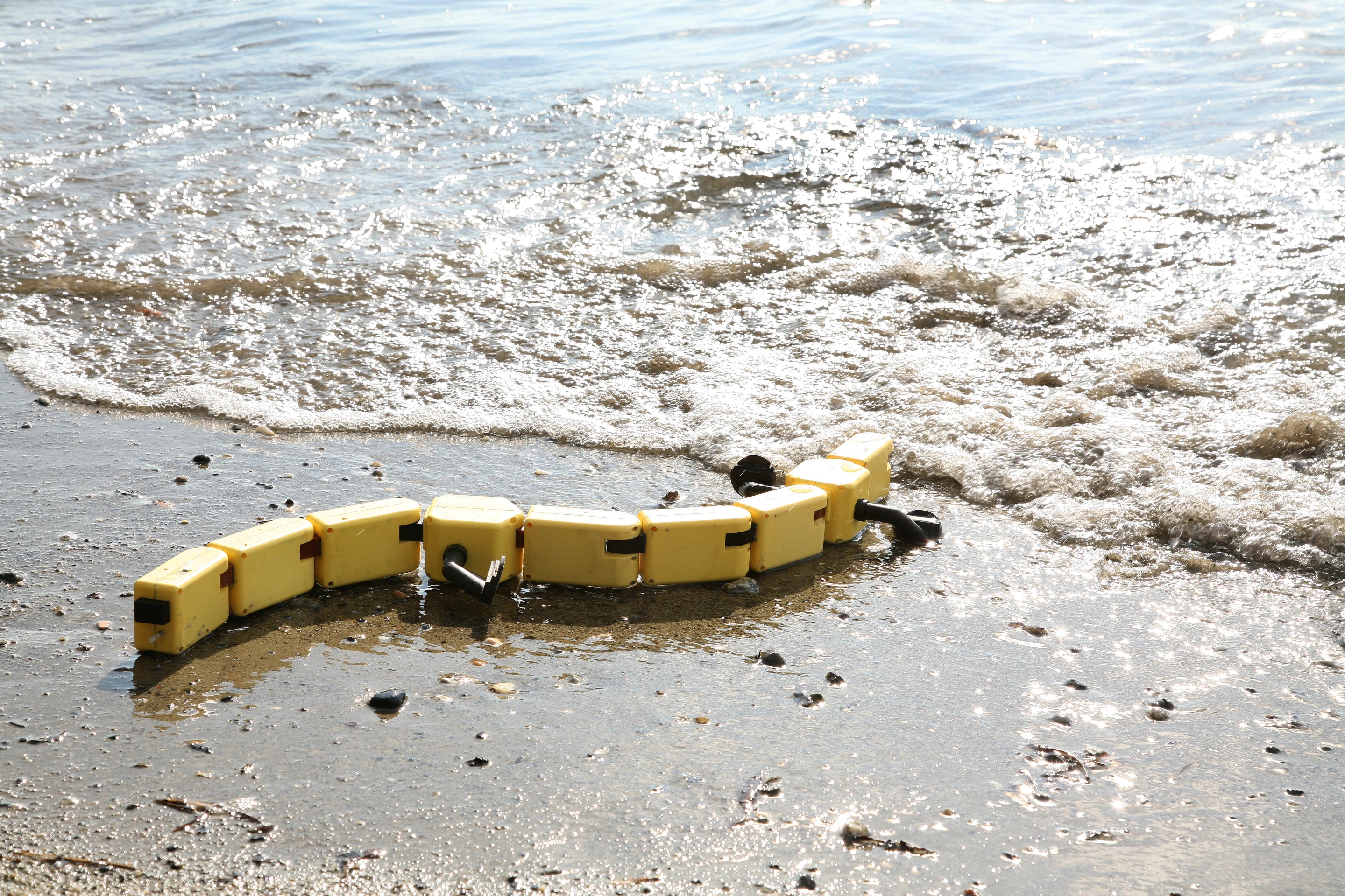 The Salamandra robotica is the first robot that's equally capable of swimming like a fish, crawling like a snake, and walking like a lizard (Photo Credit: A. Herzog, Biorobotics Laboratory, EPFL)