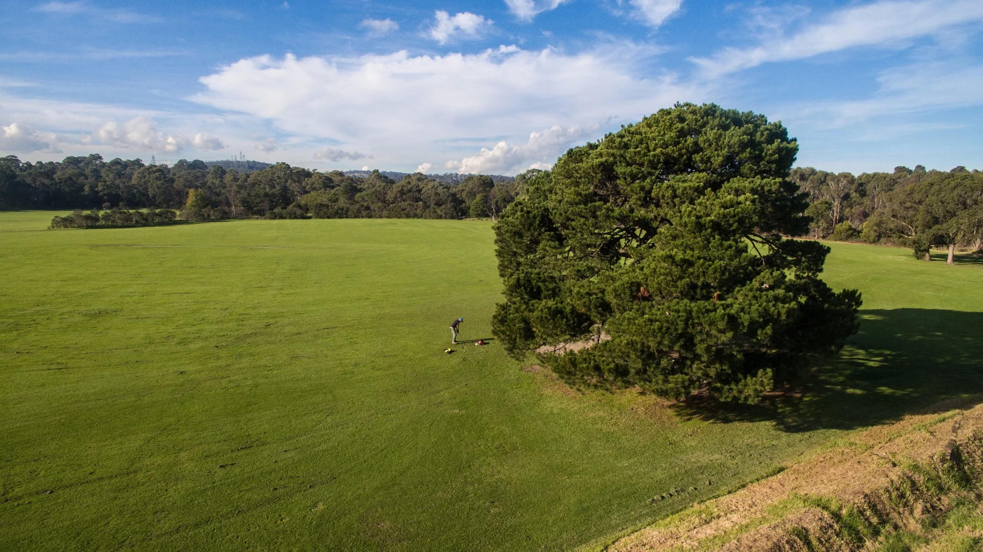 Phantom 4 image: slightly lower distortion and color fringing than the P3, but the older camera still delivers a high quality image and the P4 doesn't distinguish itself on photo or video quality