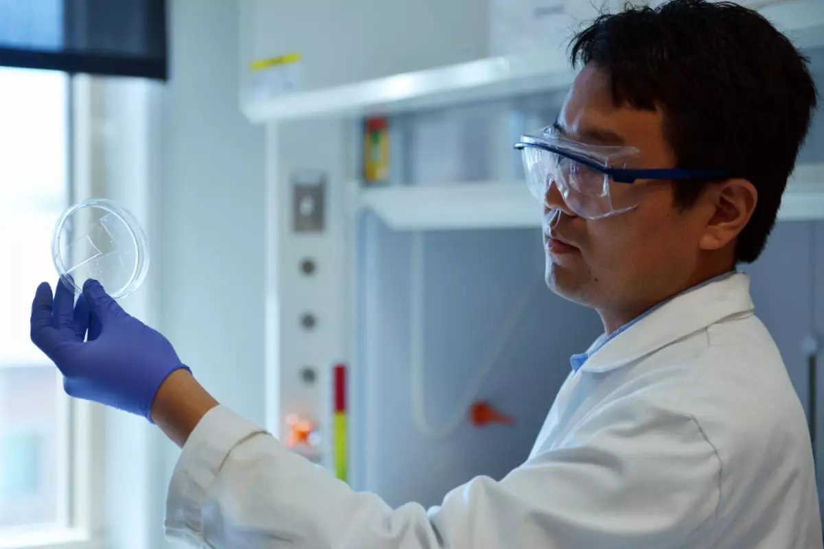 Researcher Qingkun Liu holds up samples of the new transparent aerogel, which could make windows better insulators