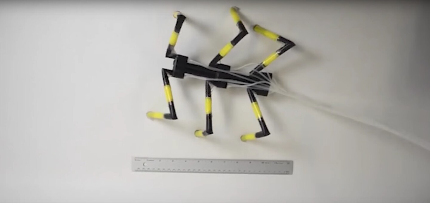 Harvard scientists have made semi-soft robots out of drinking straws, that move like insects