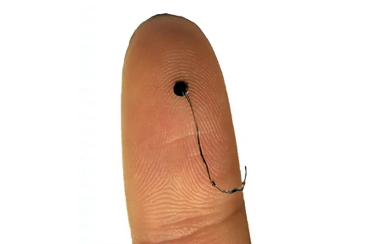 A single electrode, designed to look like a hair
