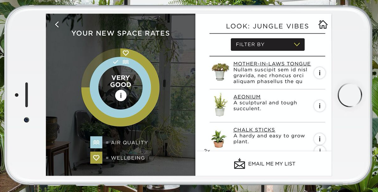The Plant Life Balance app uses a rating system suggesting how much different plants can improve the lives of urban dwellers