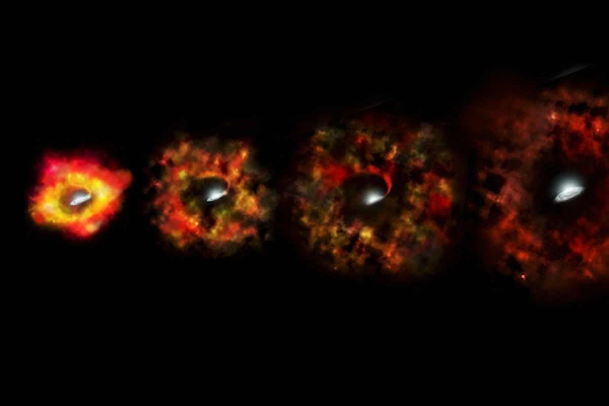 A star that disappeared before astronomers' eyes could mark the first time the birth of a black hole has been directly witnessed