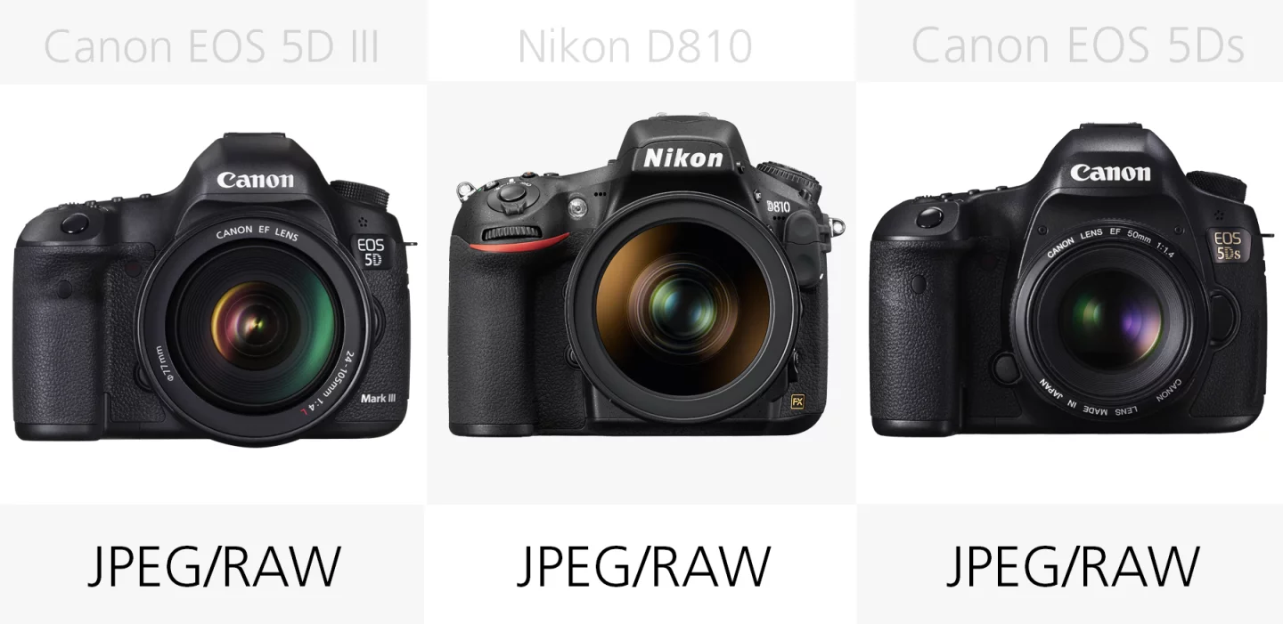 Full frame DSLR filetype comparison Canon EOS 5D III, Nikon D810, Canon EOS 5Ds