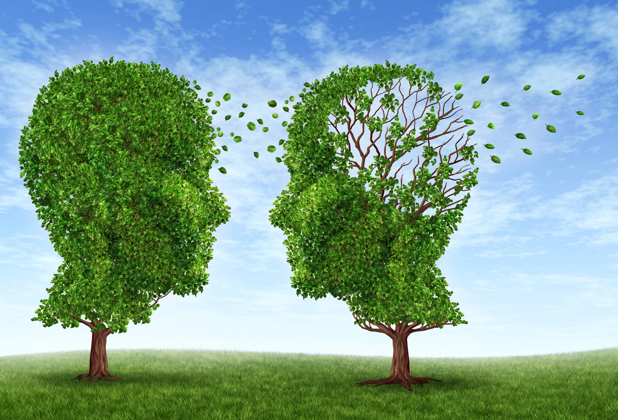 Ten risk factors, including head trauma, obesity in latelife, and diabetes, have been identified as the strongest risk factors for Alzheimer's in a new study