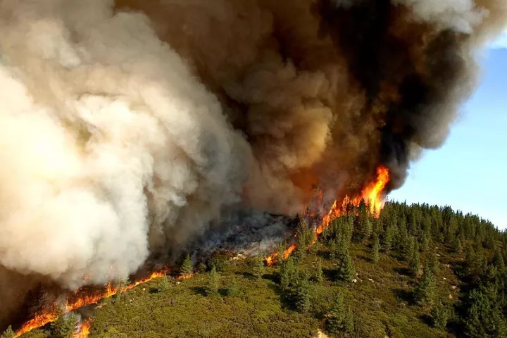 Zaca Fire, near Santa Barbara, California, in 2007. Credit: U.S. Forest Service by John Newman