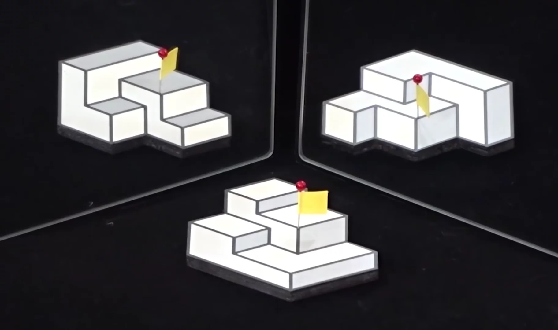 The winning entry in this year's Best Illusion of the Year Contest presents a 2D picture that has three different perceived structures depending on the viewpoint