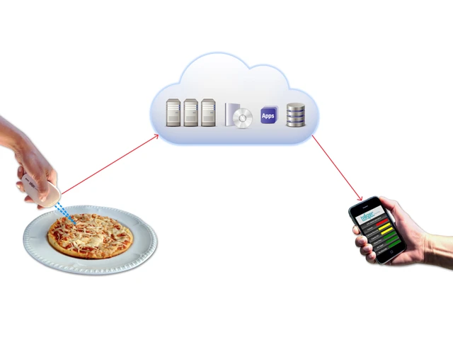 Analyzing the data through the analysis engine and sending results to the smartphone (Image: TellSpec)