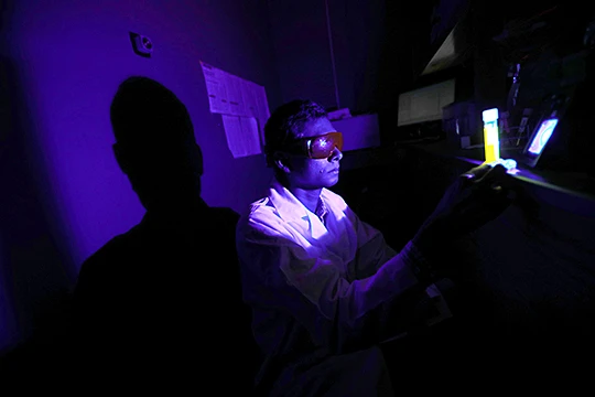 Ajith Karunarathne examined toxic oxygen generation by retinal during blue light exposure