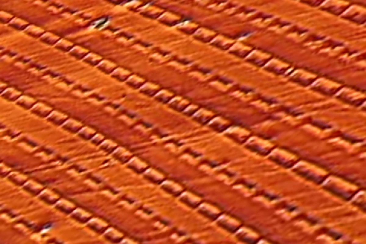 A microscopic view of periodic magnetic cells created in iron-gallium alloy that appear to be responsible for the strange non-Joulian magnetostriction