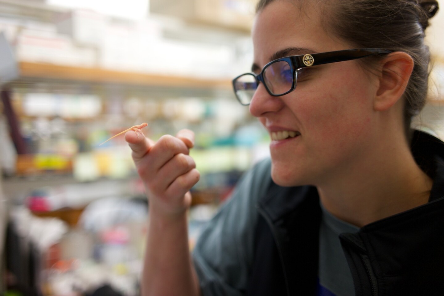 PhD student Ashley Rasys, with one of the anoles