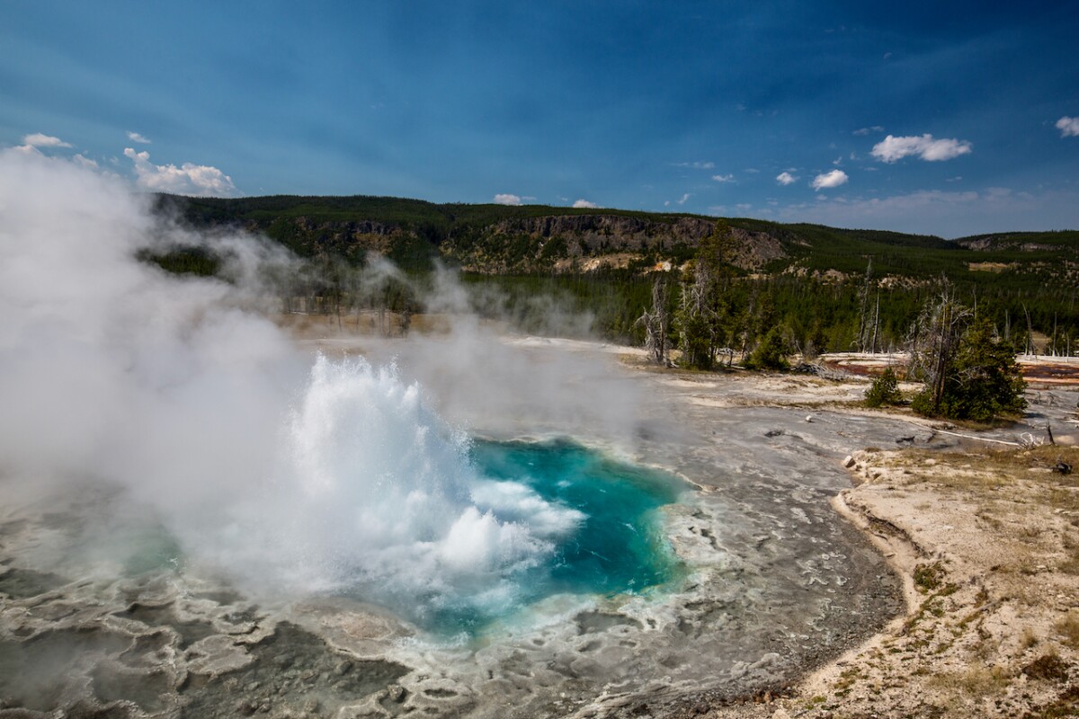 An eruption of Aretemisia Geyser in Yellowstone National Park