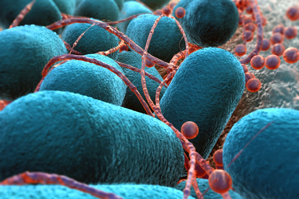 Researchers have evolved E. coli bacteria to eat carbon dioxide from the air
