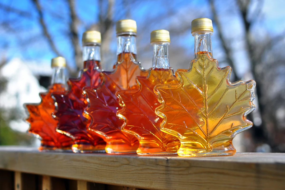 Scientists have produced a maple syrup extract that bolsters the ability of antibiotics to battle bacteria (Shutterstock)