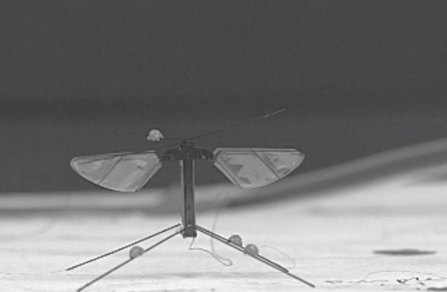 The tiny Bee+ about to launch during flight tests