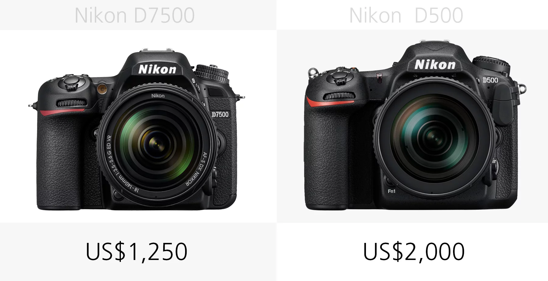 The price of the Nikon D7500 and Nikon D500 compared