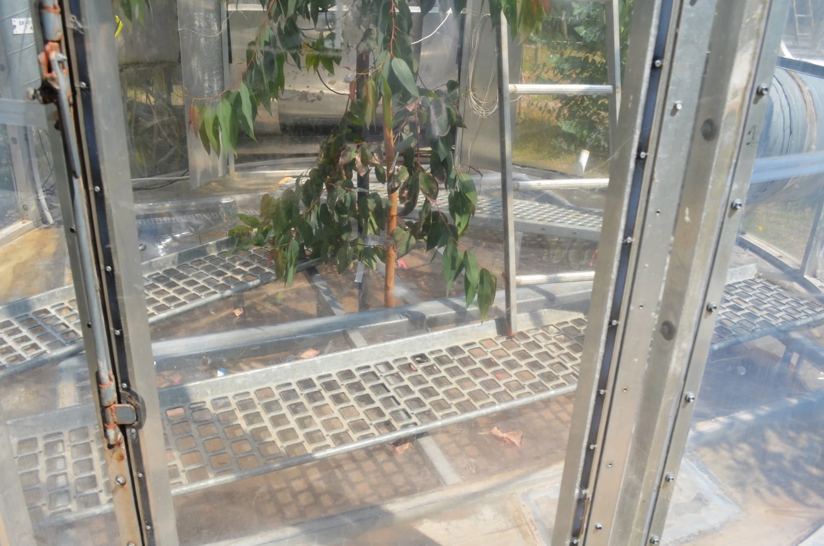 The chambers allow the tree roots to also be isolated