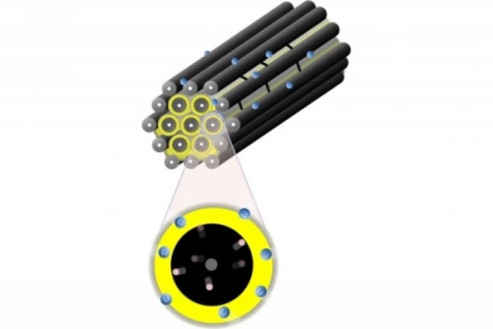 Structure of the lithium-sulfur batteries at the nanoscale level (Credit: Dr. Linda Nazar, David Xiulei Ji and Kyu Tae Lee)