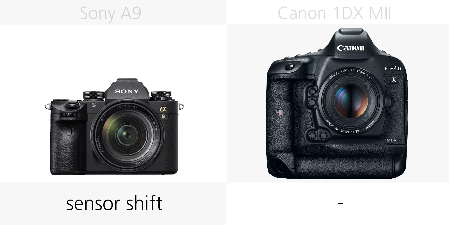 Comparing the image stabilization of the Sony A9 and Canon 1DX Mark II
