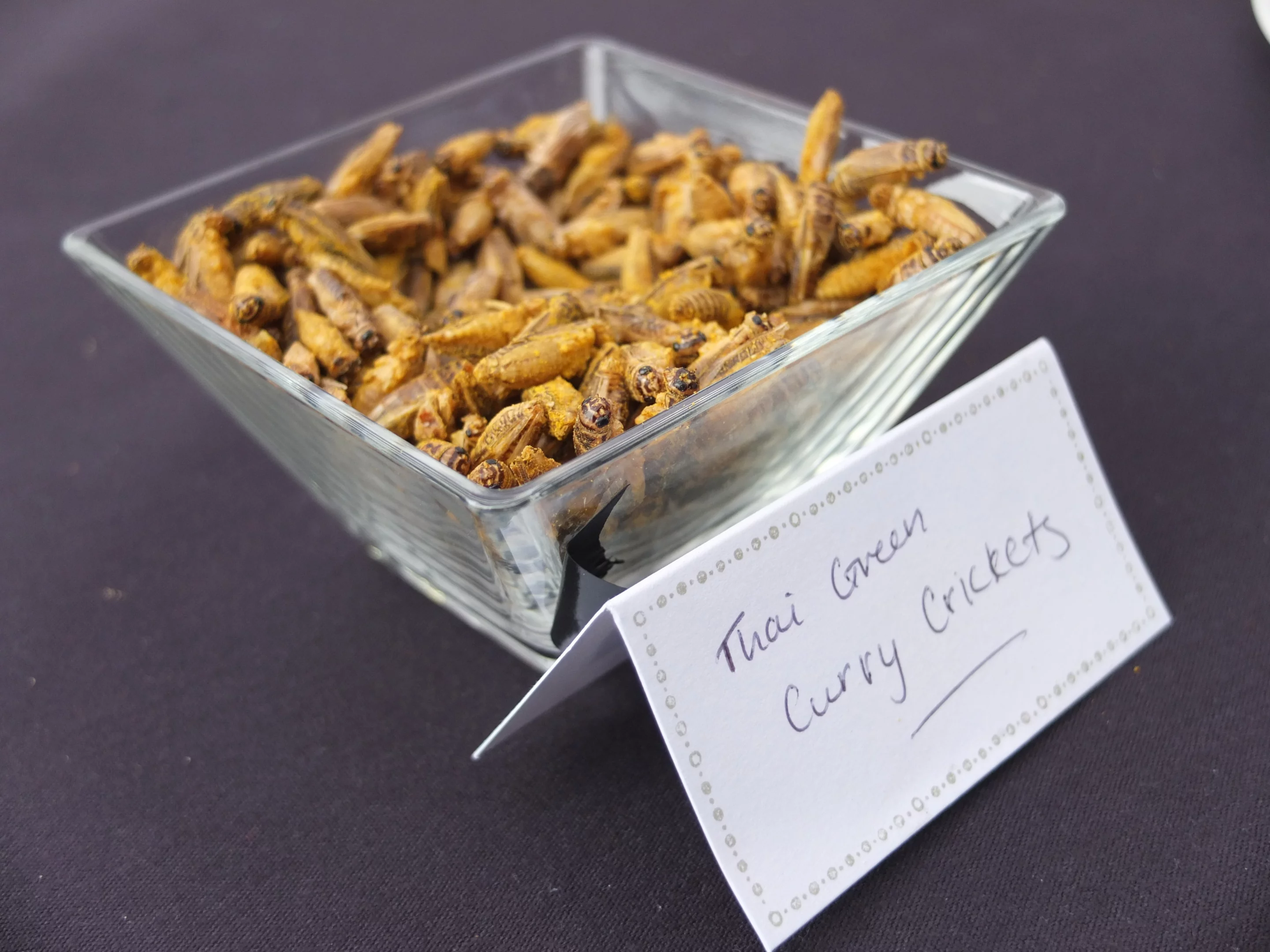 Thai green curry crickets (Photo: Gizmag)