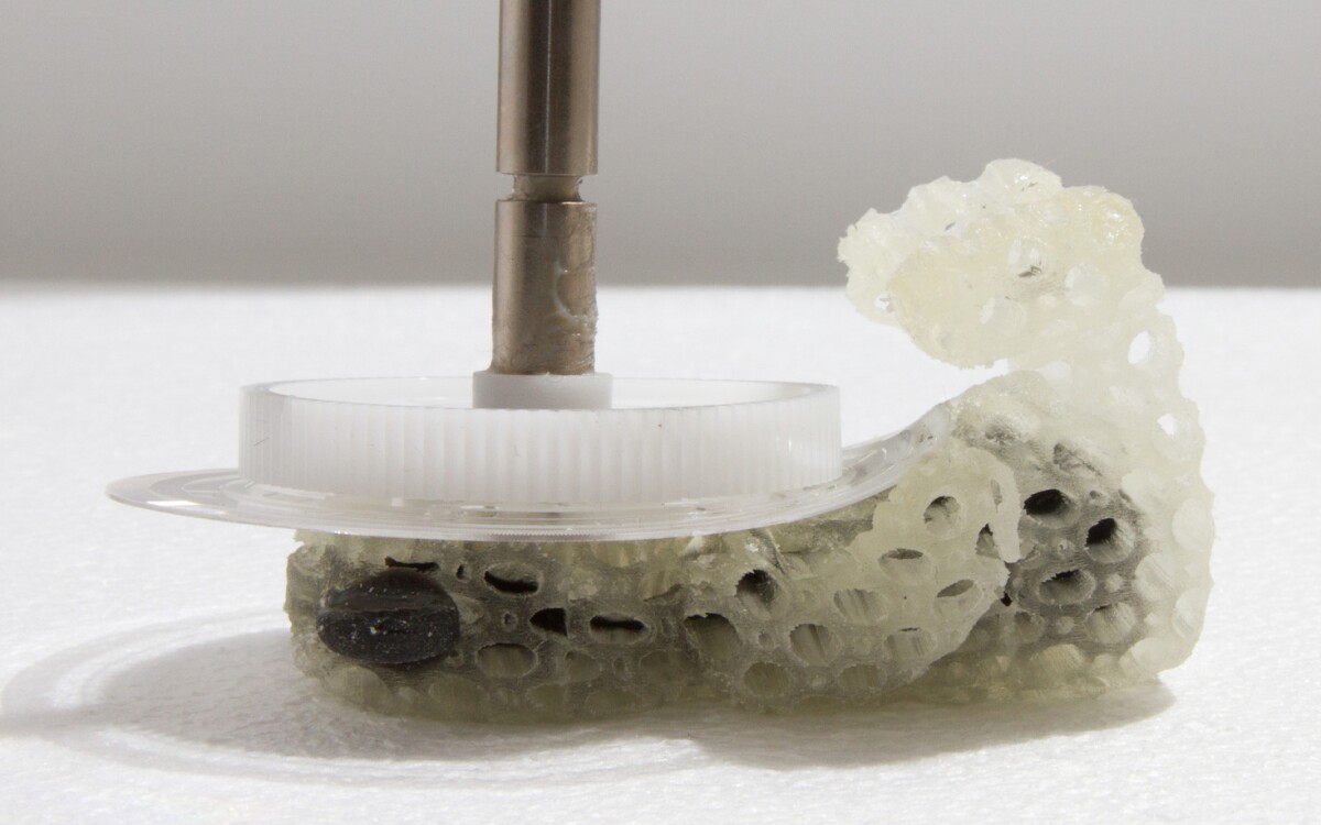 Compressing the 3D printed teddy bear (Photo: MIT Computational Fabrication Group)