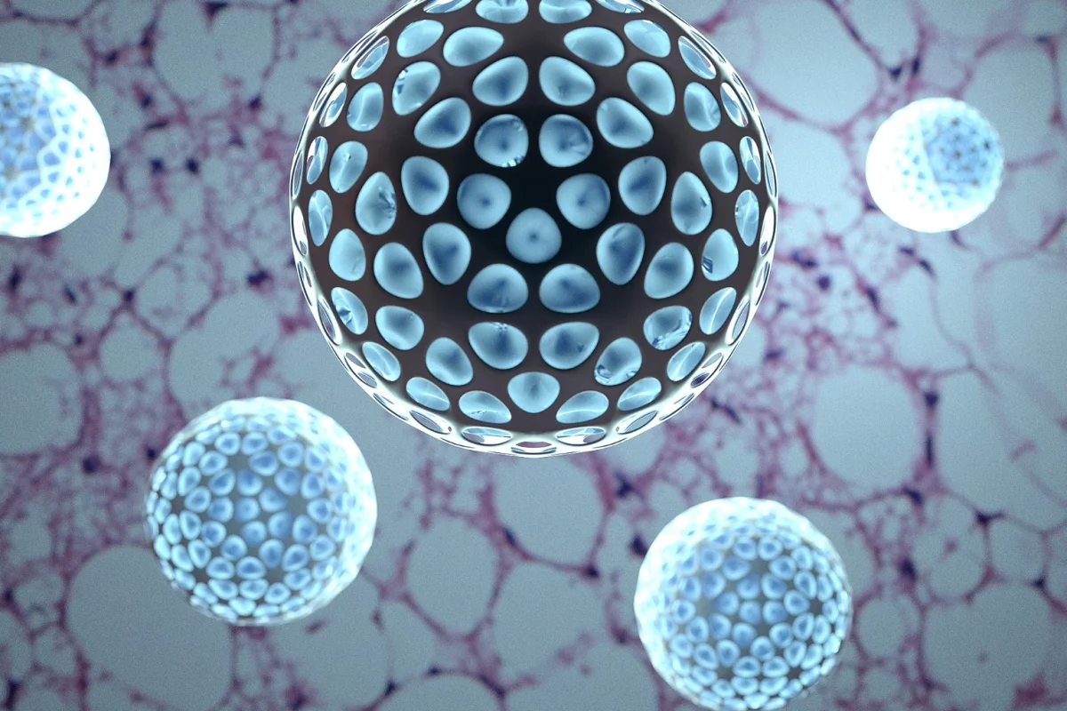 Nanoparticles loaded with a drug called Dibenzazepine could be injected into fat deposits in the body, converting the white fat into brown which is more easily burned