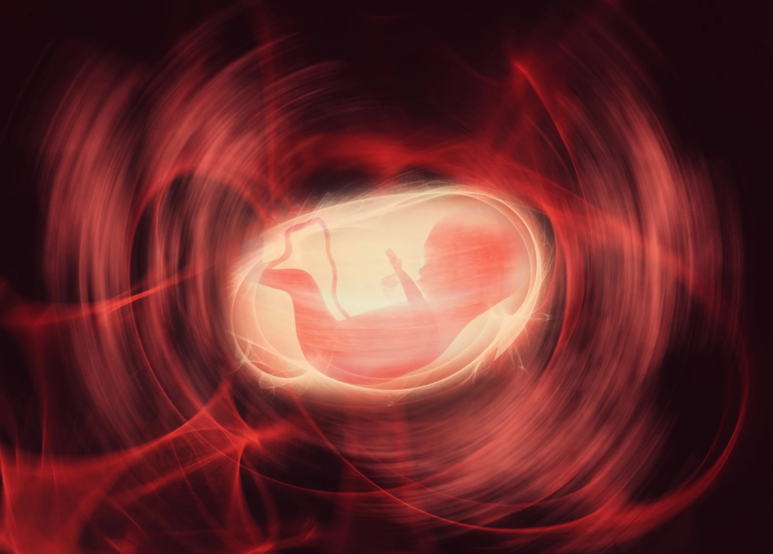 Stresses in the placenta could be key in triggering the onset of a variety of neurodevelopmental disorders including schizophrenia