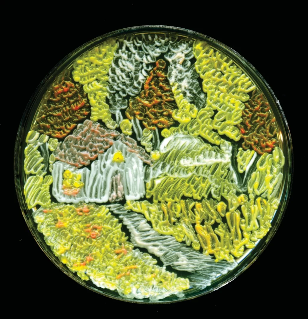 Art made in a Petri dish from yeast proteins