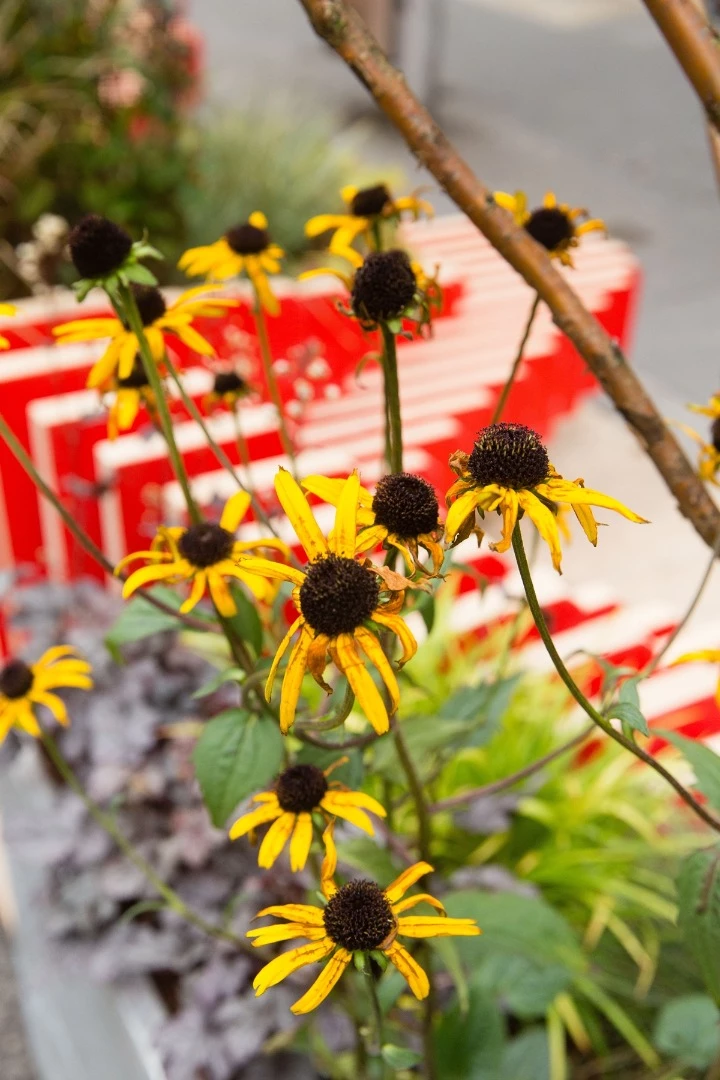 ParkedBench helps to provide some greenery in the area