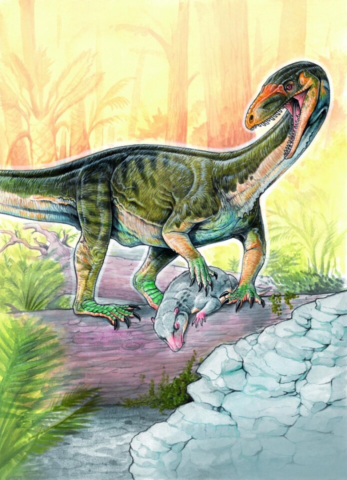 The new species Teleocrater rhadinus hunting a cynodont, a close relative of mammals