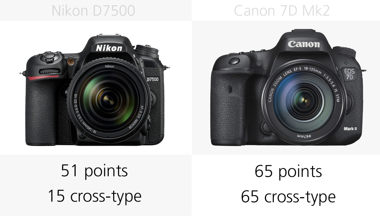 The autofocus systems of the Nikon D7500 and Canon 7D Mark II compared