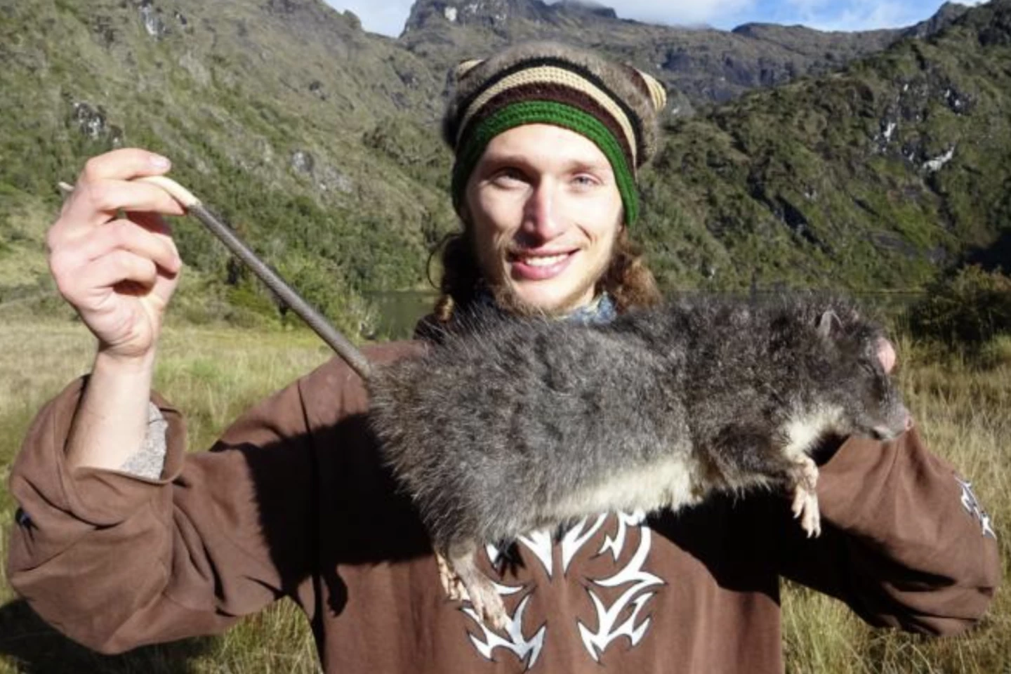 This deceased woolly rat nonetheless allowed for the scientist to do extensive tissue sampling and other critical assessments for its record