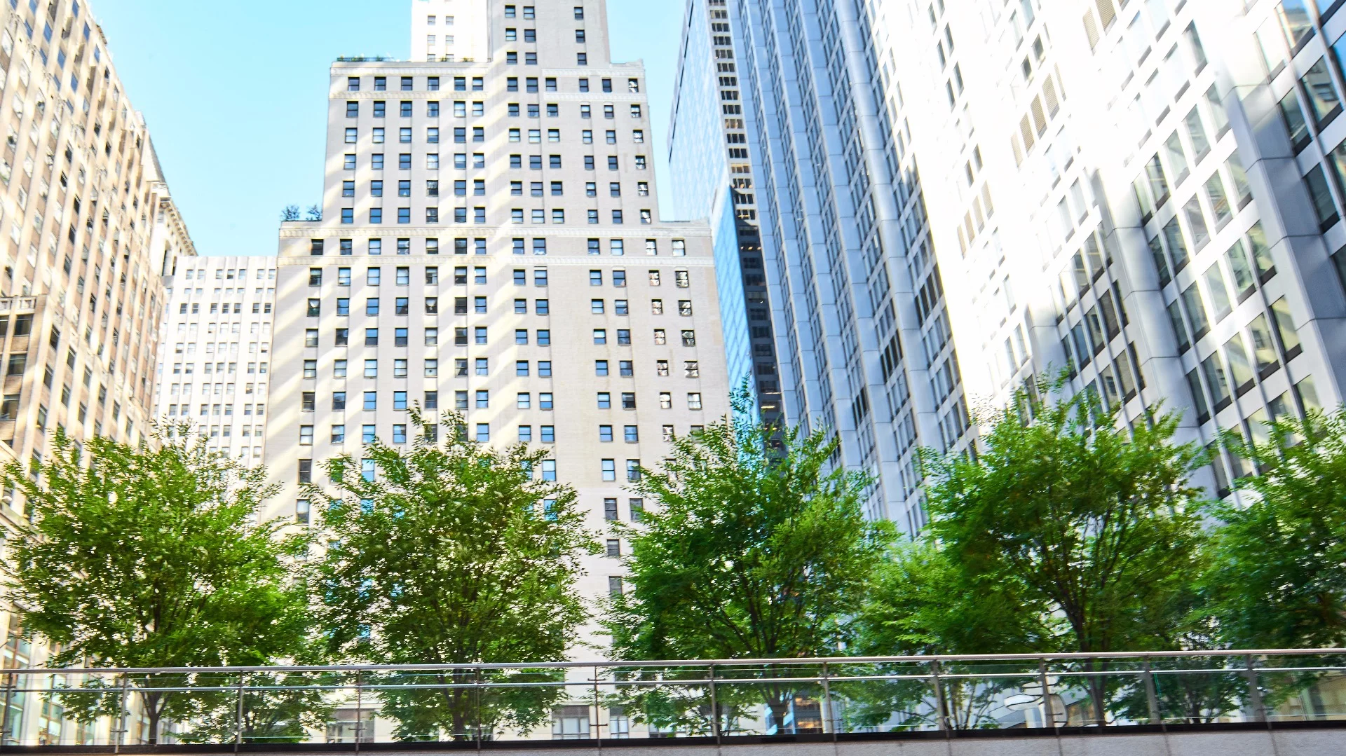 It may seem counterintuitive but a recent study has shown that, especially during heat waves, trees in a city can increase the rates of ozone formation