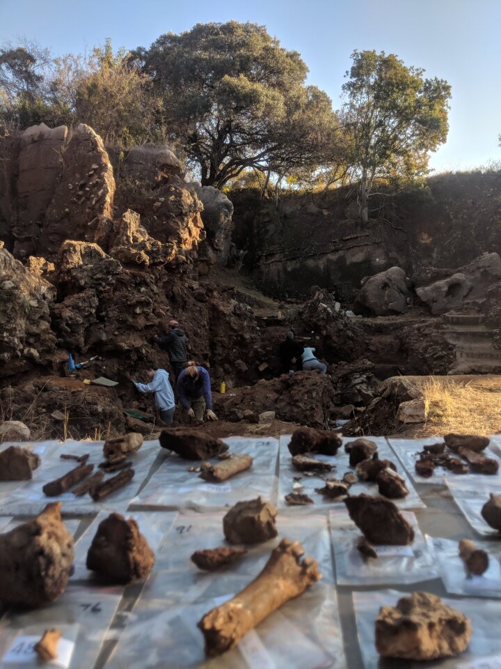 Fossils being sorted at Drimolen cave, north of Johannesburg in South Africa