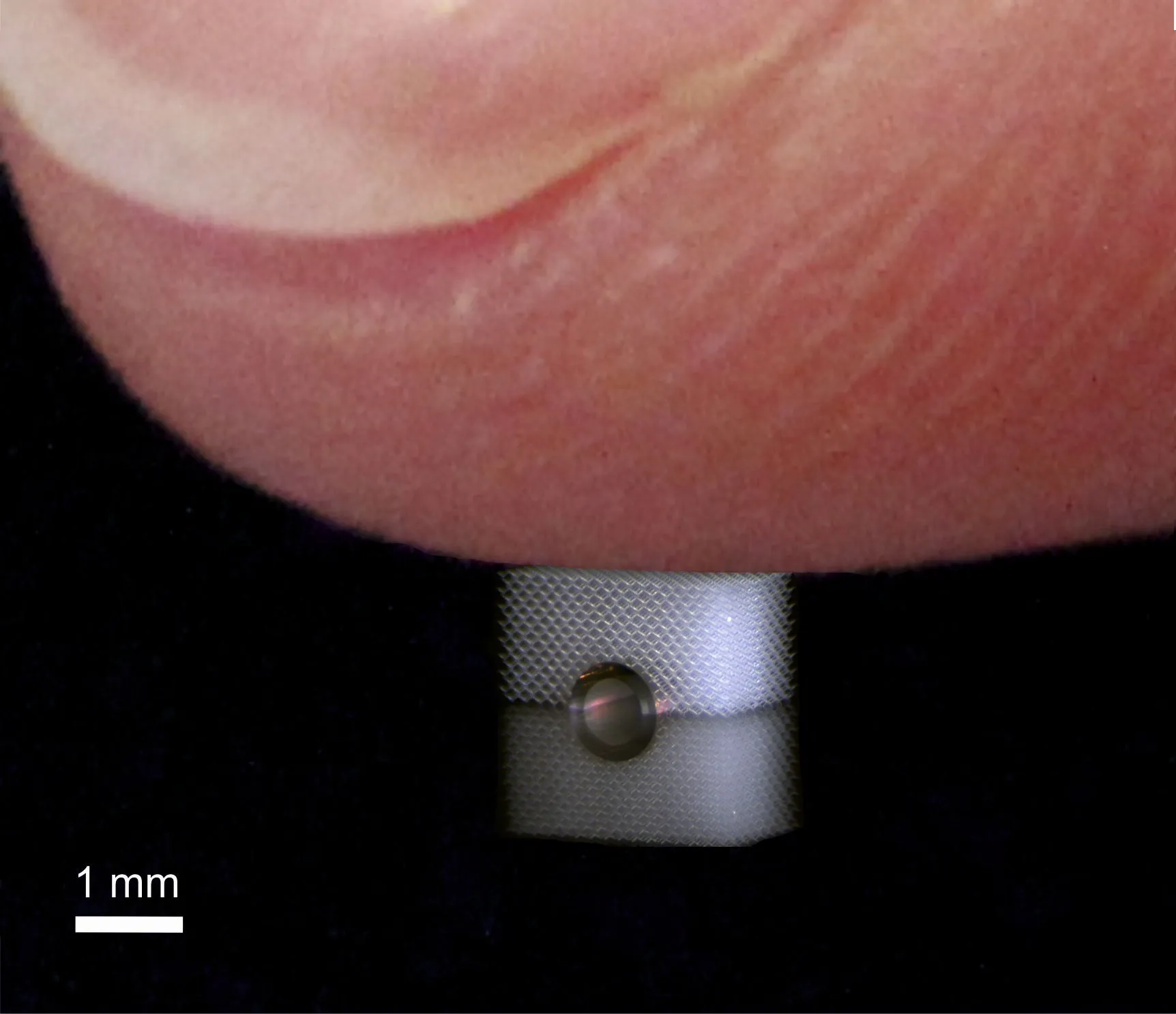 It's now possible to hide an object from being felt, thanks to research by scientists at Karlsruhe Institute of Technology (Photo: T Bückmann / KIT)
