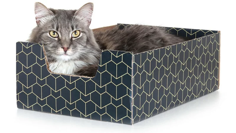 The Purrfect Pet Box is a pimped-out cardboard box for all your feline friends