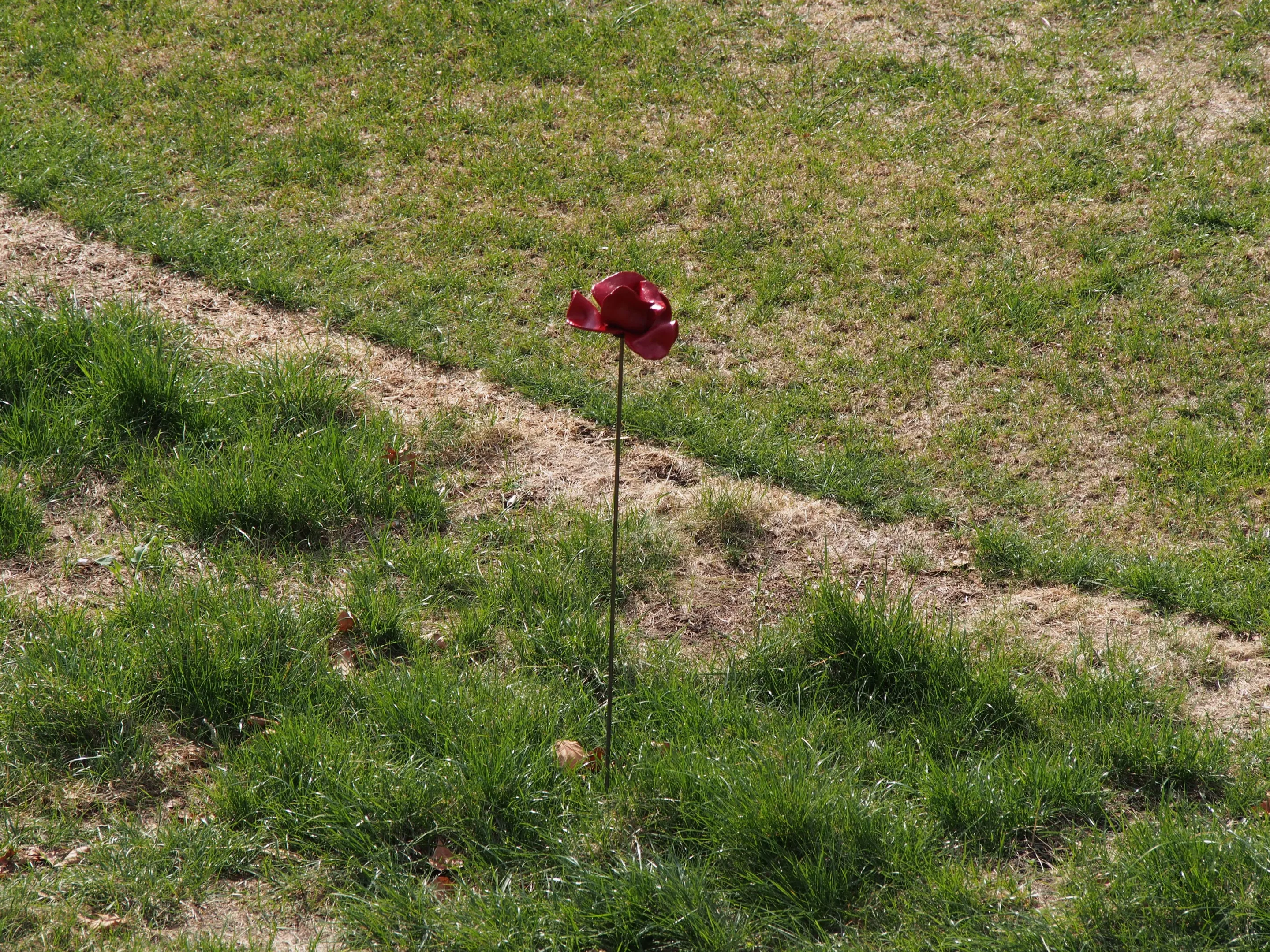 The first poppy was placed by long serving Tower of London Yeoman Warder YS Crawford Butler on July 7 (Photo: Adam Williams/Gizmag)